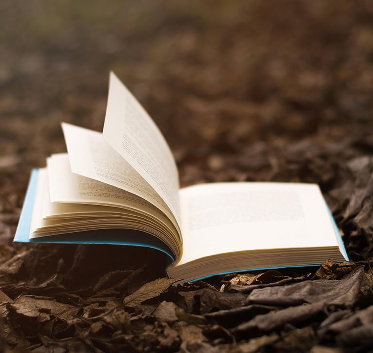 book opened